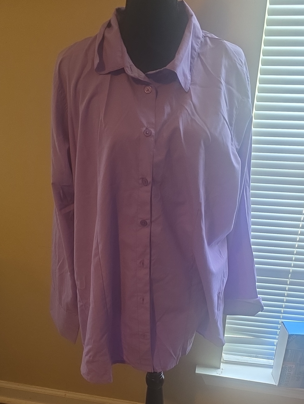 Ashley Stewart Lavender Button-Down Collared Shirt